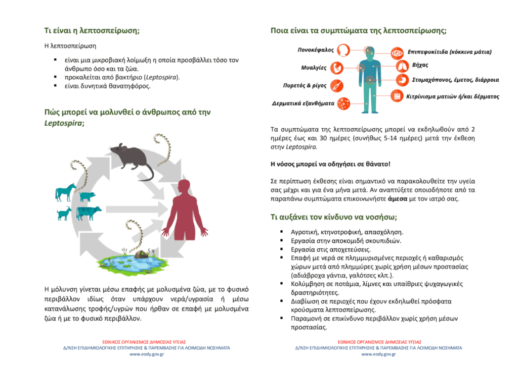 λέπτοσπειρωση